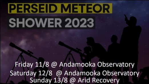 Perseid Meteor Shower 2023