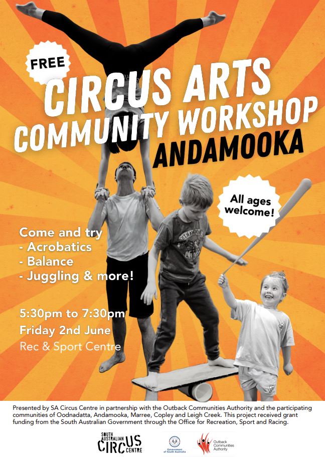 Image for Circus Arts workshop in Andamooka